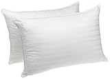 Down Alternative Standard Pillows, Set of Two