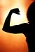 Muscle Building Mania  A Beginners Guide To Bodybuilding
