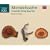 Mendelssohn: The String Quartets