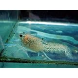 ���i�̏ڍ�