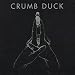 Crumb Duck