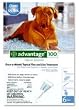 Advantage Topical Flea Treatment for Dogs over 55 Lbs (6 Applications)
