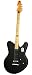 Schecter Robert Smith ULTRACURE VI 6-String Electric Guitar, Black