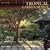 Tropical Garden Design
