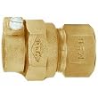 AY McDonald 4754-22 CTS Polyethylene Tubing Connector (CTS X F.I.P.T.)