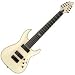 Schecter Blackjack ATX C-8 8 String Electric Guitar