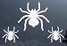 Tarantula