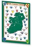Irish County Tea Towel or kitchen towel