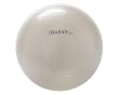 GoFit Exercise Ball (65 cm) GoFit Exercise Ball (65 cm)
