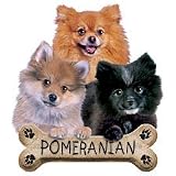 Pomeranian Puppies Adult T-Shirt