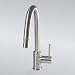 Decor Star TRG01-TB Euro Modern Contemporary 16" Pull Out Spout Kitchen Sink Faucet Brushed Nickel