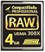 Hoodman Raw RAW 4 GB CF 4 GB 300X CompactFlash Card