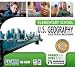 Software : U.S. Geography, The Eastern Regions (Win/Mac) (Jewel Case)