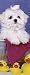 maltese15  - Maltese Puppy Bookmark