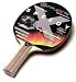 Tischtennis SCHLÄGER SPEEDY FUNSPORT / 10023