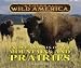 Book Regional Wild America - Unique Animals of the Mountains and Prairies (Regional Wild America)
