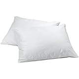 Vinyl Pillow Protector with Zipper, 2 Pillowcase