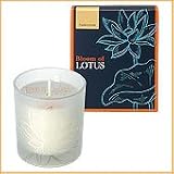 Bloom of LOTUS �t���O�����X�L�����h���@�t�����L���Z���X 150g