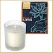 Bloom of LOTUS �t���O�����X�L�����h���@�t�����L���Z���X 150g