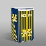 Michigan Wolverines Counter Top Refrigerator