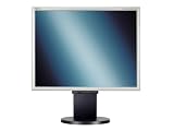 Review NEC 60001557 / NEC MultiSync LCD1970NXp - Flat panel display - TFT - 19