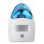 Battery Operated LED Motion Sensor Light