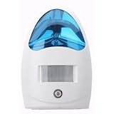 Battery Operated LED Motion Sensor Light