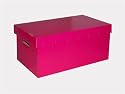 Equipstore - Boite de Rangement - Fushia (Lot 2)