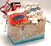 Seashells Gourmet Treat Box