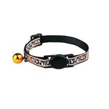 Haunted Happenings Halloween Cat Collar
