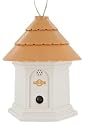 PetSafe Deluxe Outdoor Bark Control