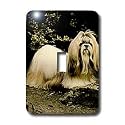 Dogs ShihTzu - Shih Tzu - Light Switch Covers - single toggle switch