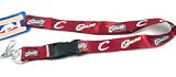 Cleveland Cavaliers Breakaway Lanyard with Key Ring Officially Licensed Detachable Nylon Neck