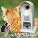 �K�[�f���o���AGDX