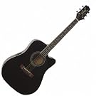 Takamine ES31C Jasmine...