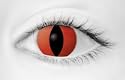Contact Lens Predator Red Very High Quality Stamping ,Price Is For A Pair Including Free Solution And Casing.