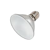 50-watt PAR30 flood halogen bulb with frosted lens