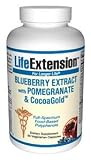 Blueberry Extract with Pomegranate & CocoaGold, 60 vegetarian capsules