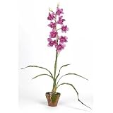 Cymbididium w / Moss Pot Silk Orchid Arrangement - B001DQIY58