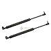 2pc TRUNK Shocks - 00-05 Mitsubishi Eclipse (EXCLUDES SPYDER TRIM) - Pair of Hatch Supports