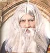Adult Albus Dumbledore Wig and Beard Set