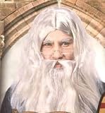 Adult Albus Dumbledore Wig and Beard Set