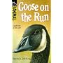 Goose on the Run (Hippo Animal)