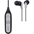 Sony DRBT100CX Ear Image of Sony DRBT100CX Ear