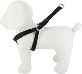 Kakadu Pet Galaxy Padded Nylon Step In Dog Harness, 1/2-Inch by 16-Inch to 22-Inch , Black Kakadu Pet Galaxy Padded Nylon Step In Dog Harness, 1/2-Inch by 16-Inch to 22-Inch , Black