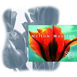 Stress Less® “Mellow Muscles” Stress Reduction and Relaxation Program using Stretching exercises By Dr. Paul Fair