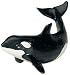 Killer Whale Calf, Monterey Bay Aquarium, Scale 1/40