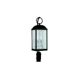 Sea Gull Lighting 82190-802 Branford Outdoor Post Lantern in Obsidian Mist
