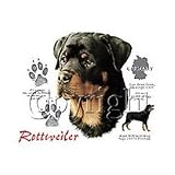 Rottweiler Adult T-Shirt