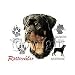 Rottweiler Adult T-Shirt